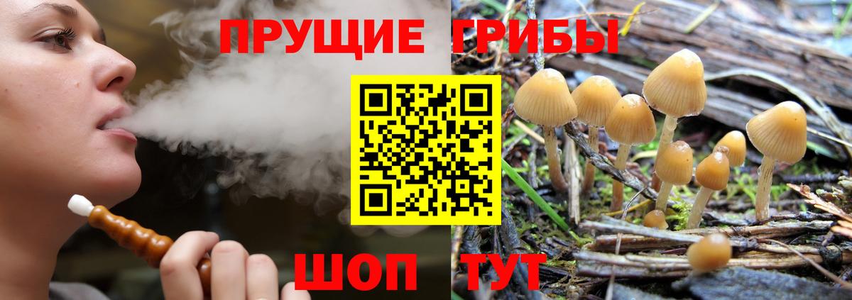 Галлюциногенные грибы MAGIC MUSHROOMS  Псилоцибиновые грибы Magic Shrooms  Вход с VPN  Южноуральск 