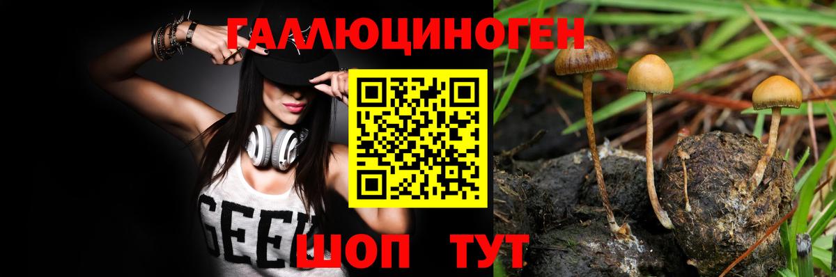 Псилоцибиновые грибы MAGIC MUSHROOMS Южноуральск